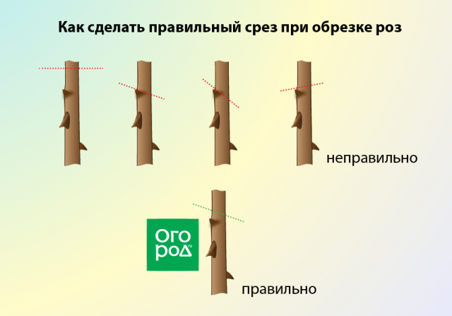 Точечная обрезка фото онлайн